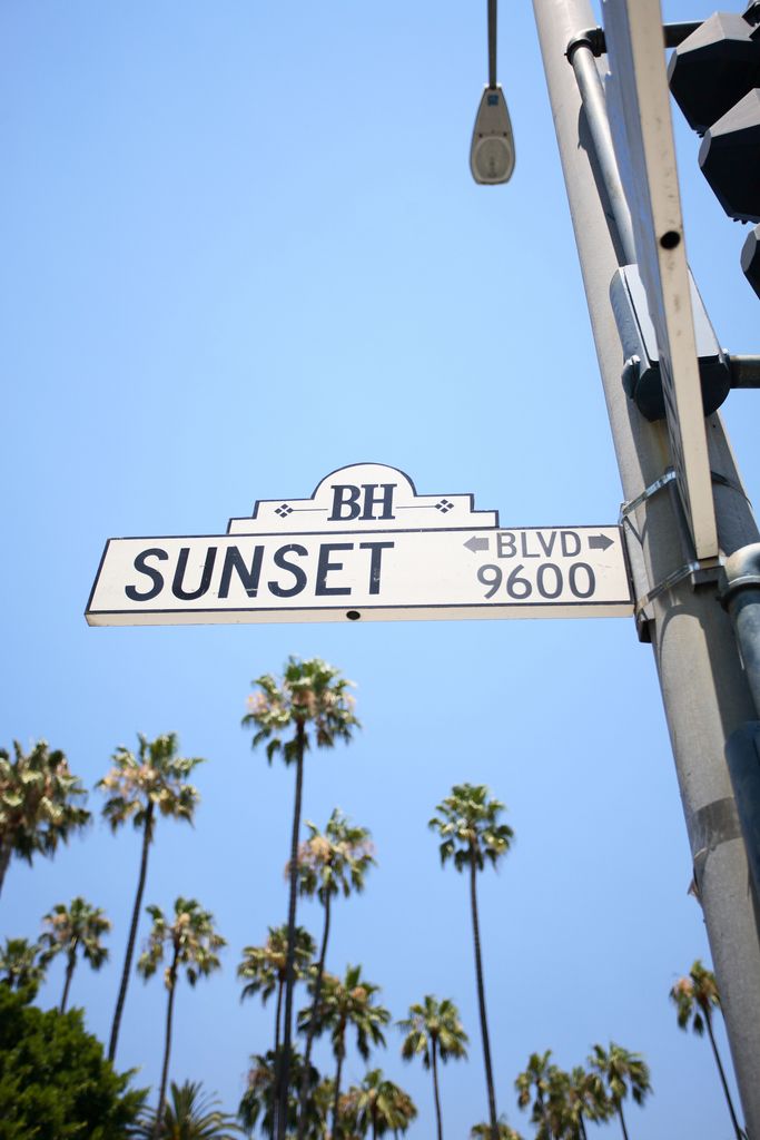 Sunset Blvd Road Sign With Palm Trees In The Background