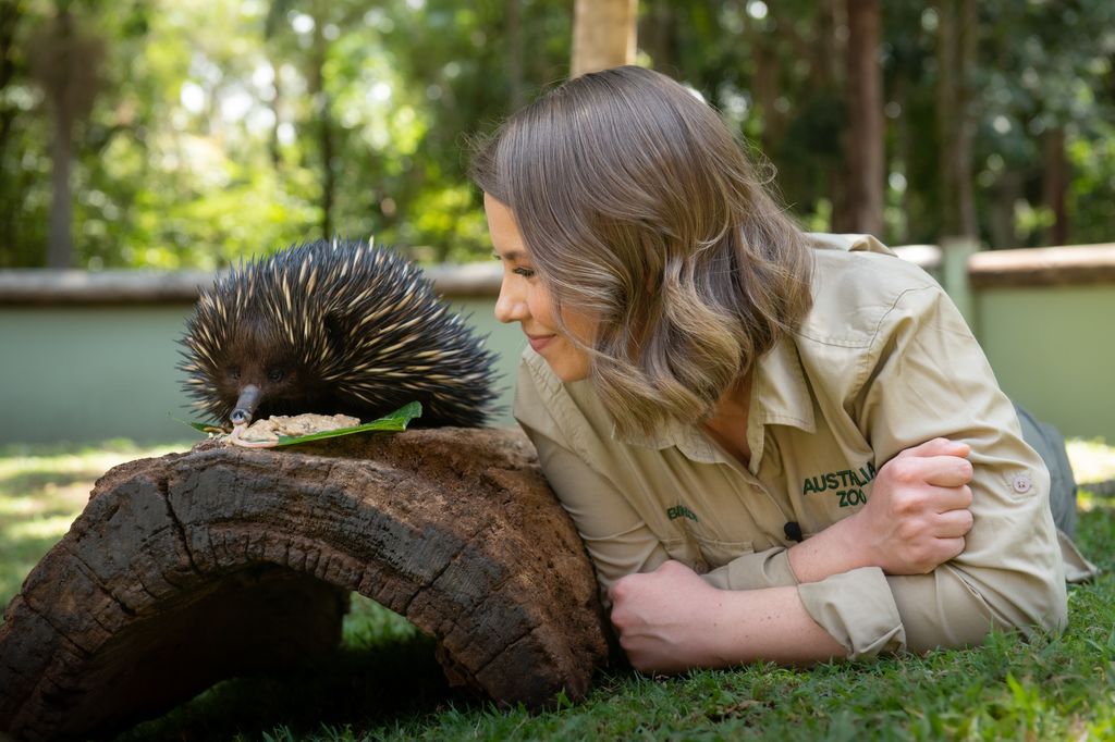 Bindi Irwin smiles at the Echidna at Australia Zoo