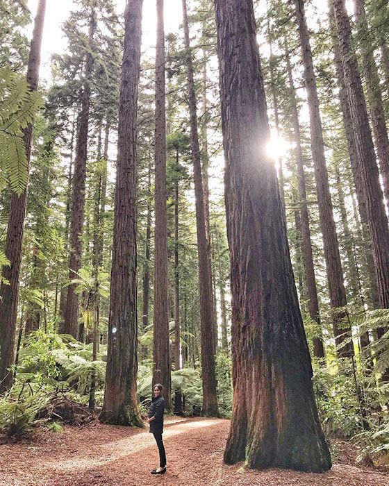 meghan markle bump pictures forest