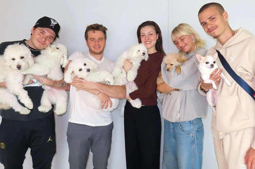 Brooklyn and Nicola have four dogs together