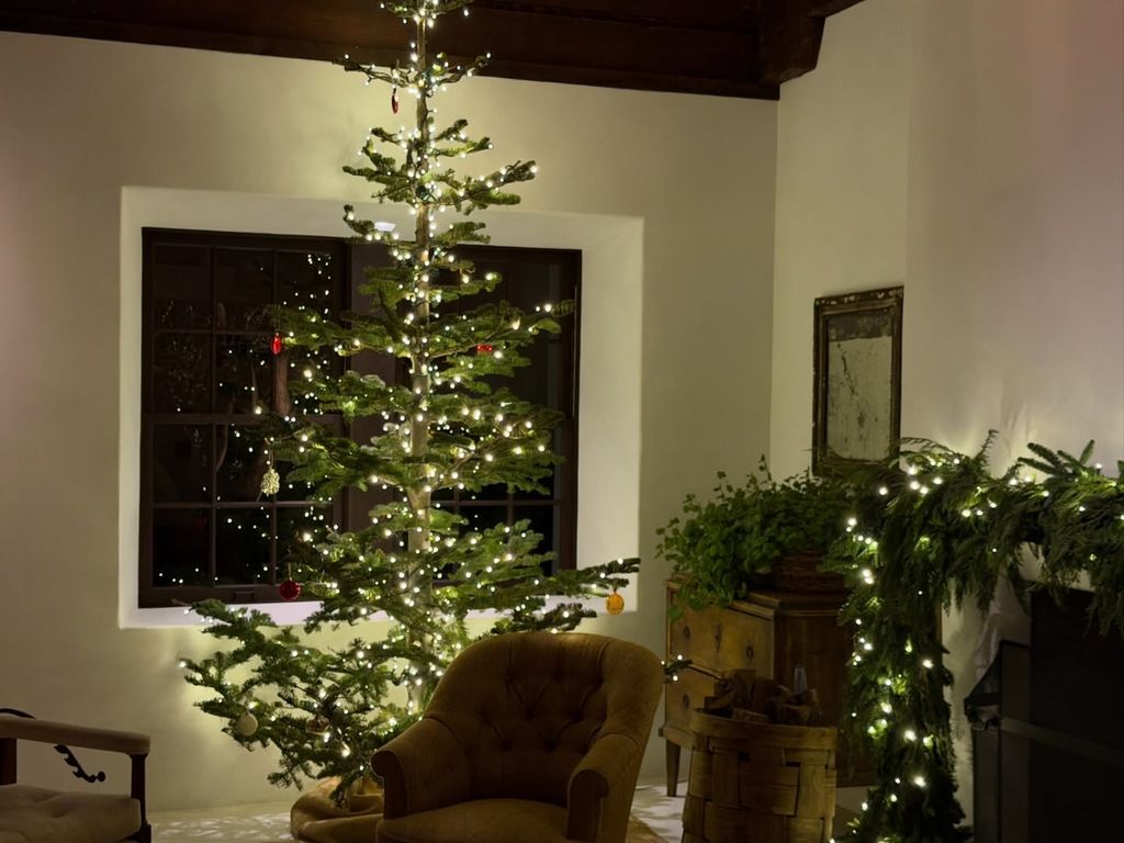 photo of christmas tree inside kendall jenner montecito home
