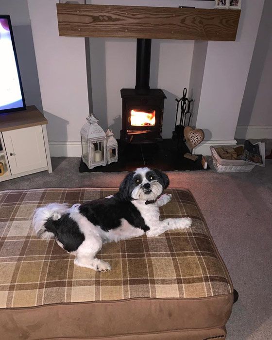 Gogglebox homes you've totally about HELLO!