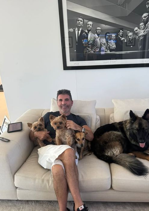 Simon Cowell smiling on a sofa with two dogs