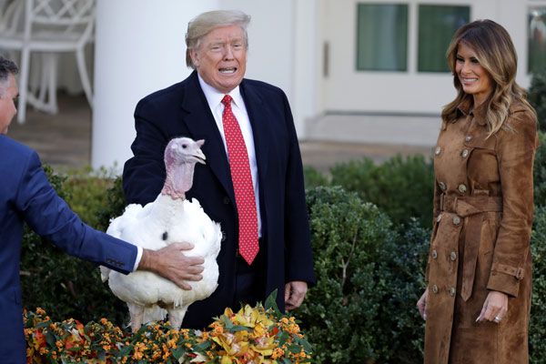 thanksgiving trump