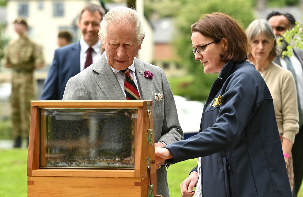 Charles inspecting a beehive during a visit to Enniskillen Castle in Northern Ireland