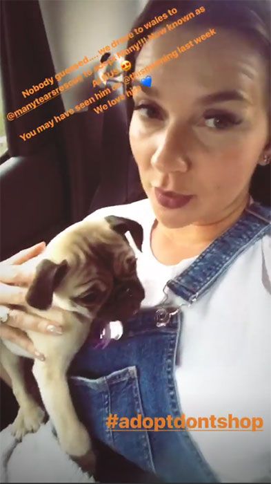 candice brown new dog