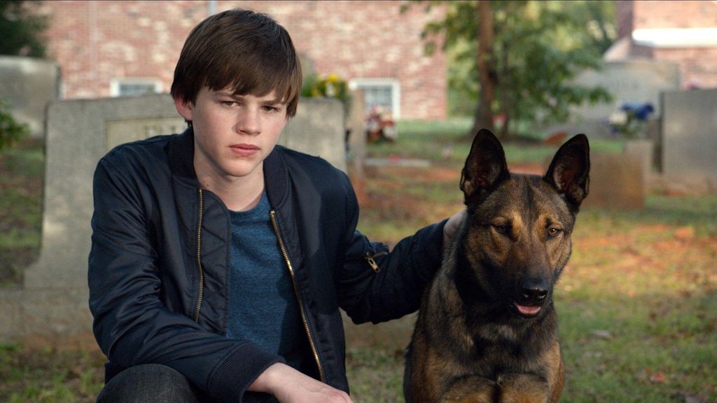 Les téléspectateurs de Netflix en larmes après que le streamer ait ajouté le film d'action-aventure « intense » Max 2 Josh Higgins et un chien dans un cimetière dans un alambic de Max