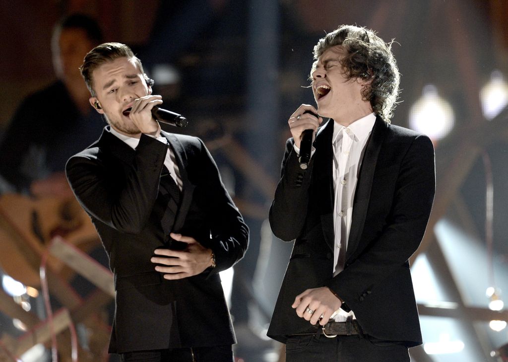 Liam et Harry se sont rencontrés sur X-Factor où ils ont été intégrés dans le boysband One Direction.