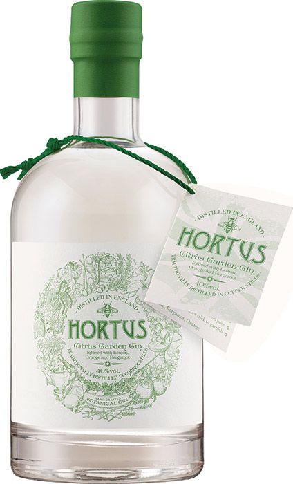 Lidl\'s popular citrus gin is back in stock just in time for the bank  holiday! | HELLO!