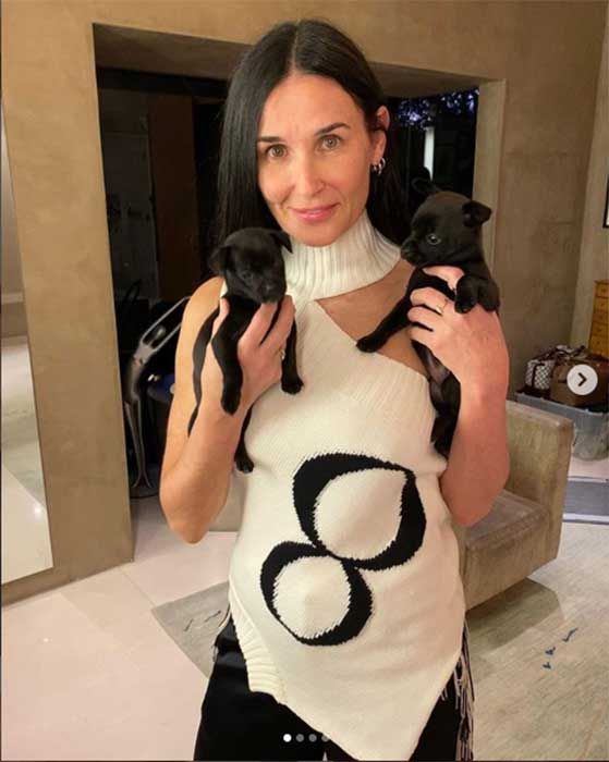 demi moore fostering dogs