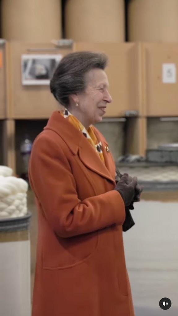 The Princess Royal looked radiant in her bright orange coat
