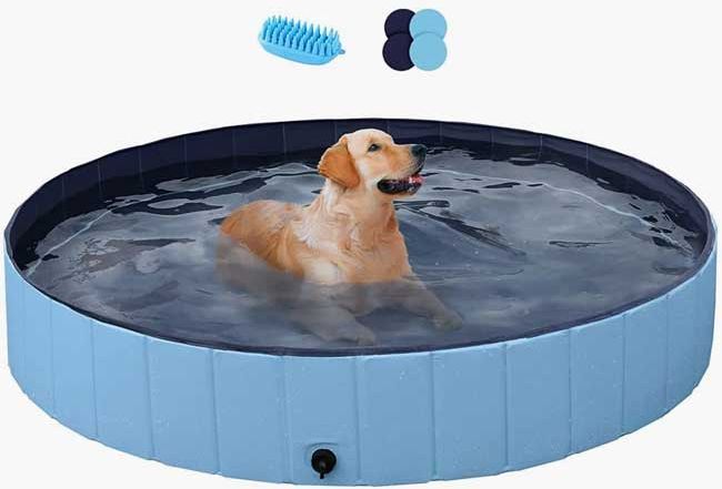 dog paddling pool 1