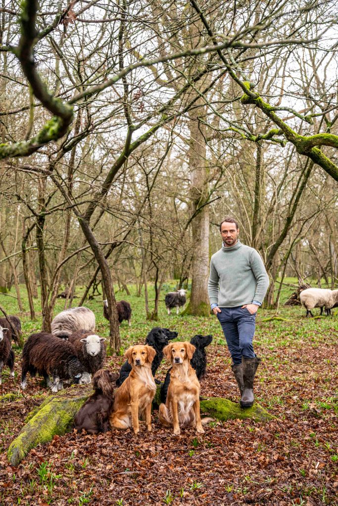 James Middleton with dogs on farmland
