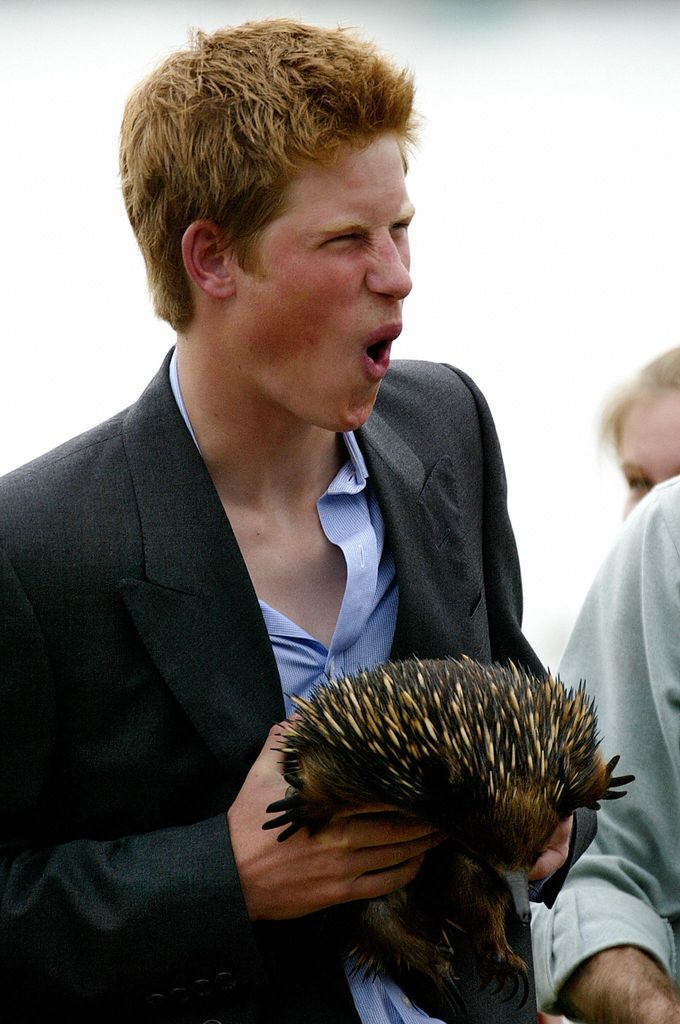 Harry with "Spike" the echidna, at Sydney's Taronga Zoo in 2003 - which sparked a new nickname