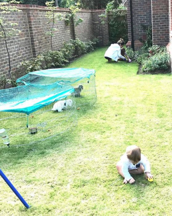 peter andre children gardening on instagram