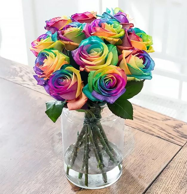 blossoming flowers rainbow roses