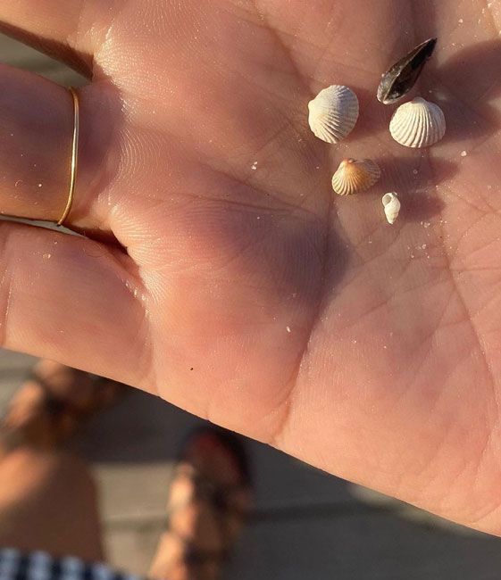 helena christensen beach shells