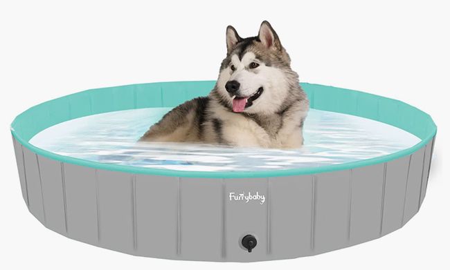 large dog paddling pool
