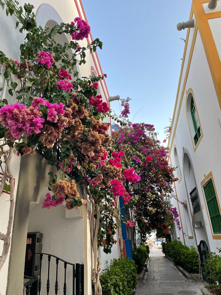 A photo of the houses in Puerto De Mogan