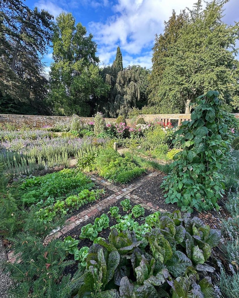 veg patch in walled garden