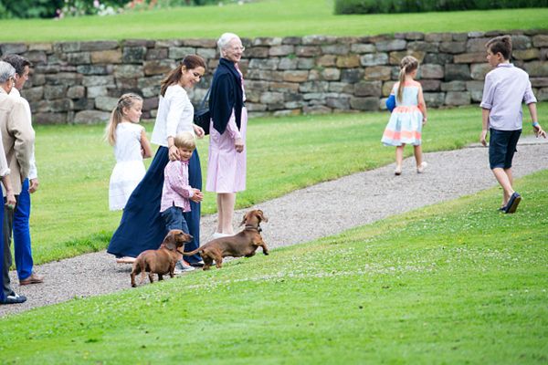 danish royal family dogs