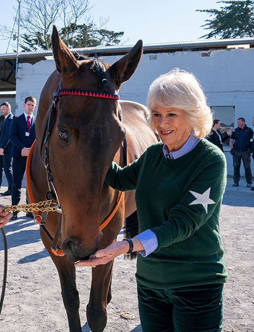 duchess camilla waterford stables