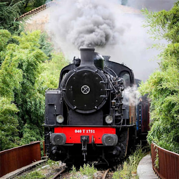 Steam Train