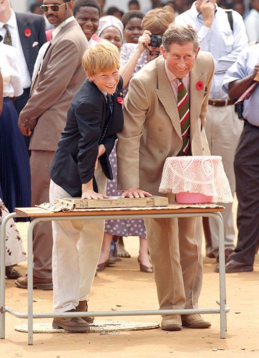 prince harry africa charles