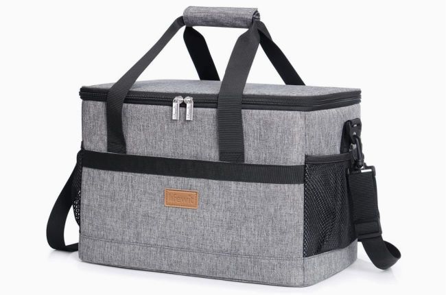 17 best cool bags for a picnic or the beach 2022: From Lakeland to John ...