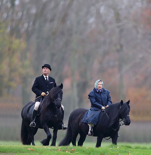 the queen riding windsor
