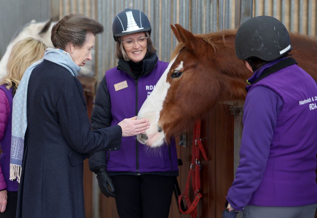 The Princess Royal has continued her passion for equestrian sports through her work
