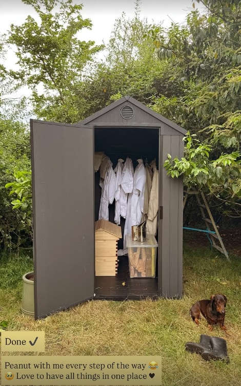 Stacey Solomon's bee shed in corner of her garden