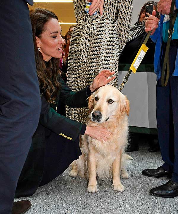Princess Kate meets therapy dog Rosie