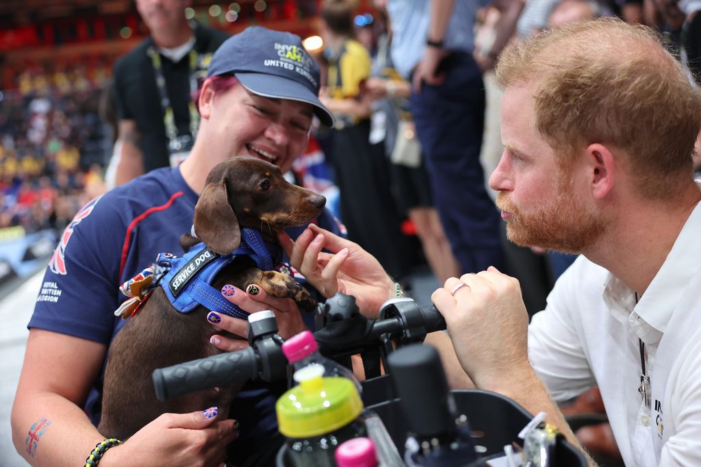 Prince Harry stroking Daisy the sausage dog and her owner and UK competitor Martha Prinsloo
