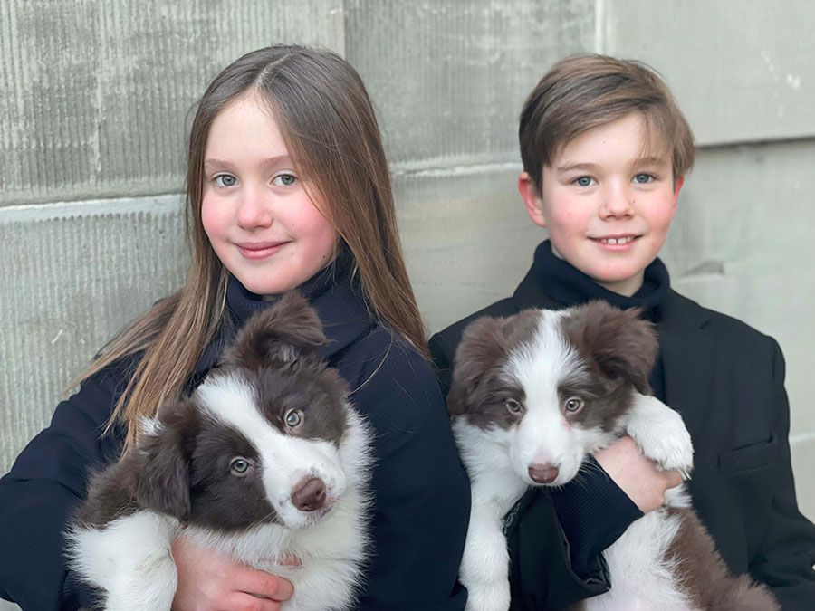 danish royal family puppies