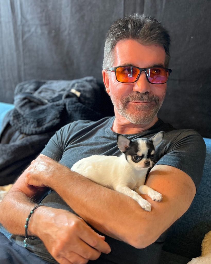 A photo of Simon Cowell holding a chihuahua