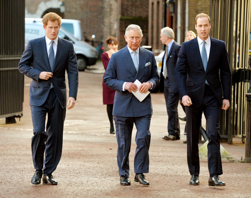 Prince Harry, Prince Charles, Prince of Wales and Prince William, Duke of Cambridge arrive at the Illegal Wildlife Trade Conference at Lancaster House on February 13, 2014 in London, England. It is hoped that following discussions at the conference, nations will sign a declaration that will commit them to a range of goals to combat the poaching that is threatening animals such as tigers, elephants and rhinos. (Photo by John Stillwell - WPA Pool/Getty images)