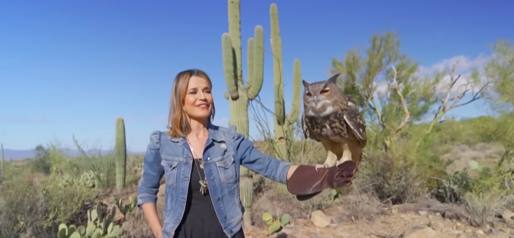 Savannah Guthrie en veste en jean dans le désert en Arizona