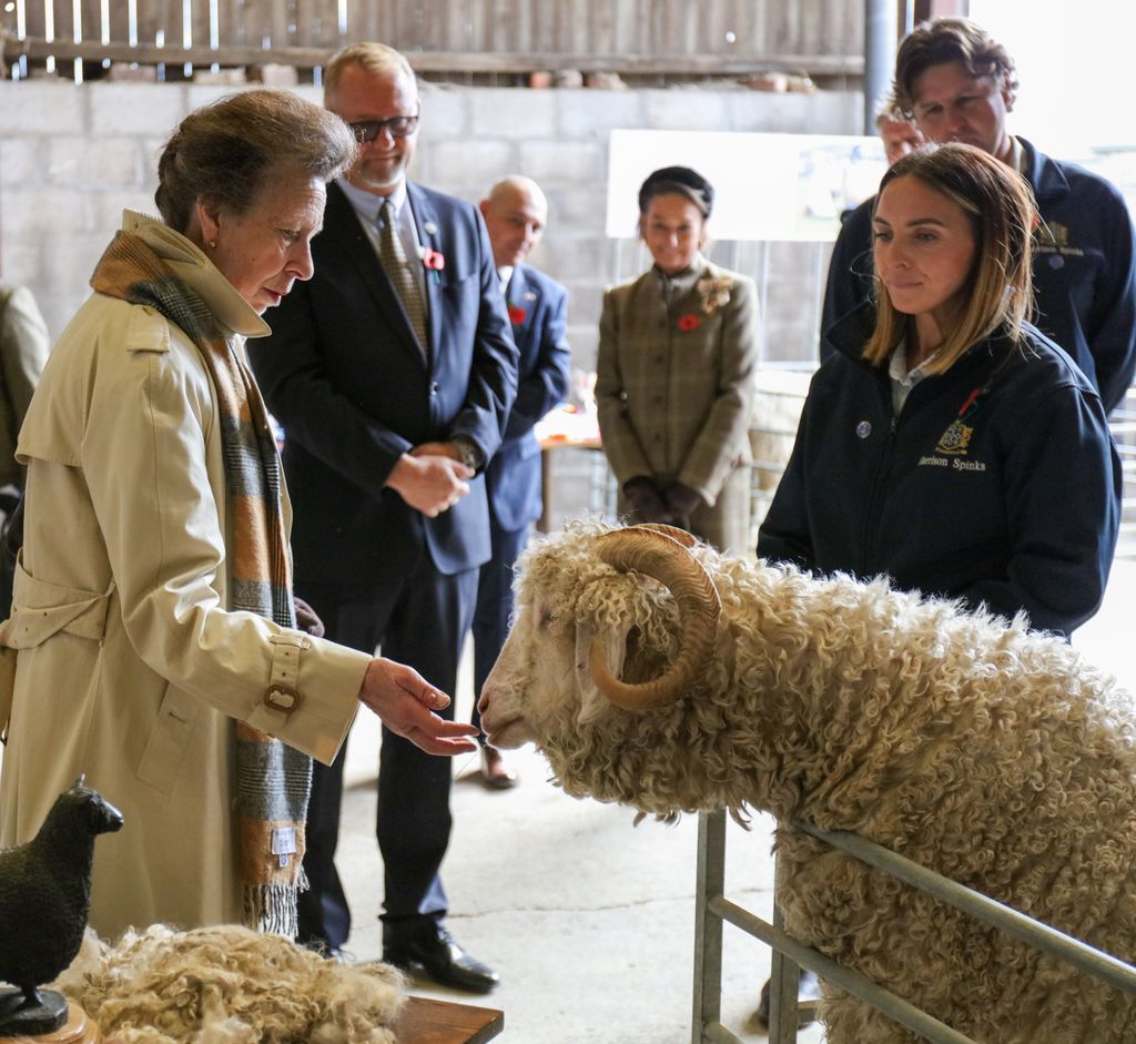 Princesa Anne com ovelhas na fazenda Harrison Beds