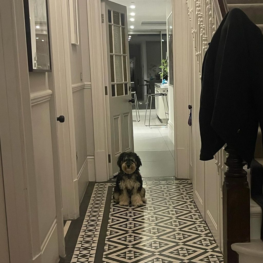 Sam's dog in hallway