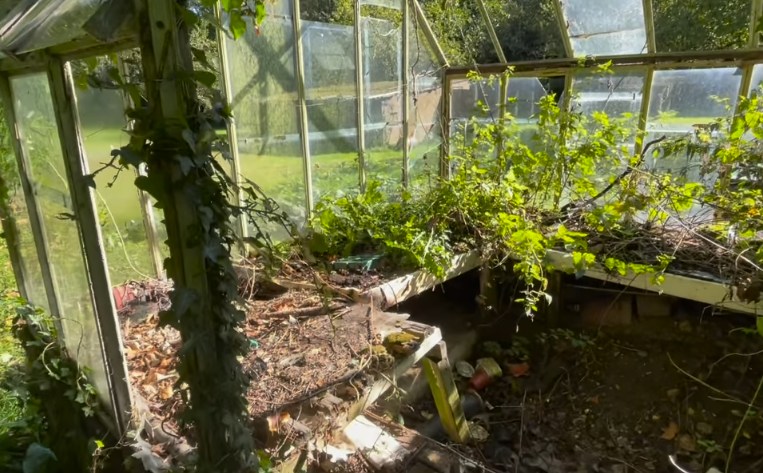 Shirlie Kemp's derelict greenhouse at home