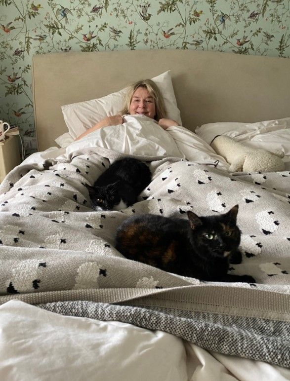 fern britton home bed z