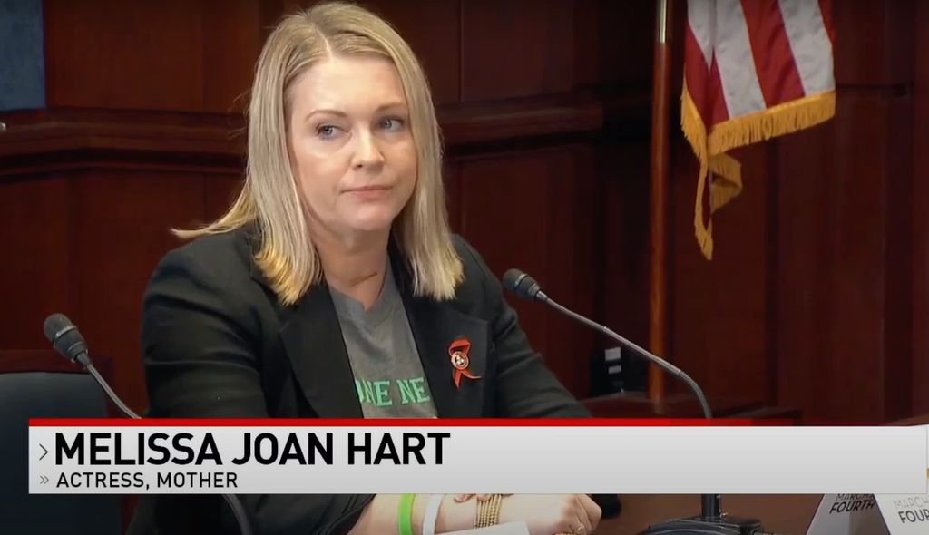 Melissa Joan Hart speaks at a senate hearing on gun reform