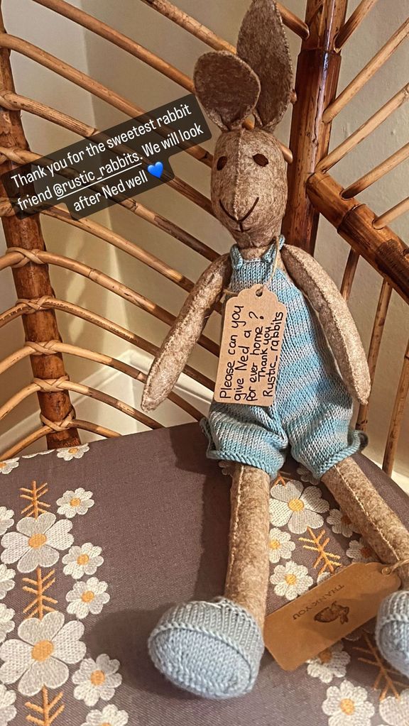 Boris Johnson's wife shares the sweet photo of the bunny sat in a wicker chair