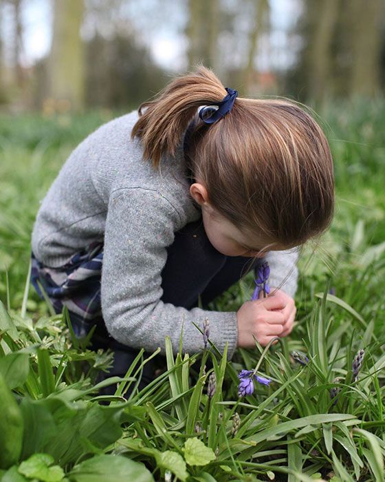 prince charlotte picture bluebells