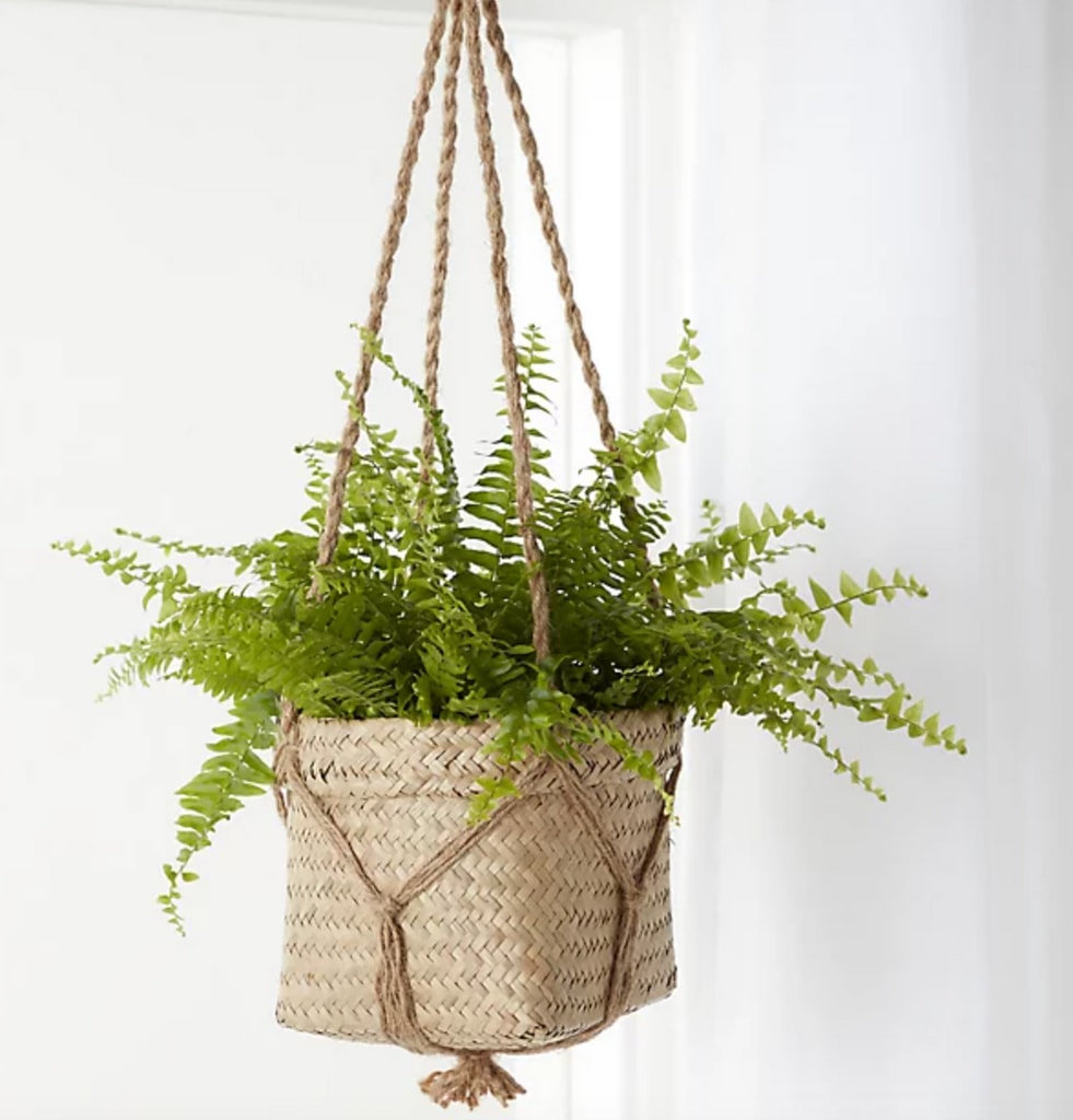 11 best outdoor plant pots for your garden from M&S, John Lewis and