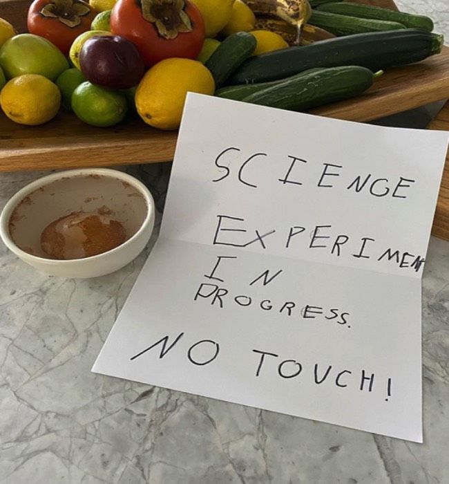 Jennifer Garner receives a handwritten note from her son Samuel telling her not to touch his science experiment 