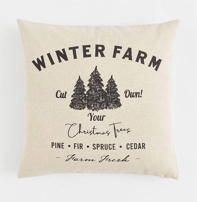 H and M winter farm cushion