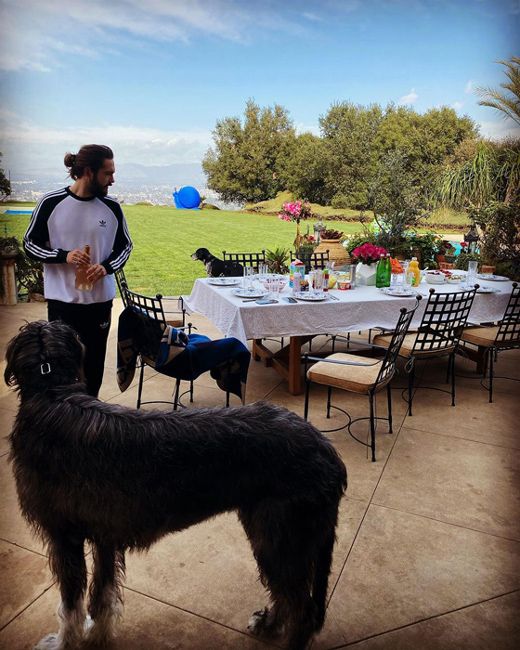 a giant dog stands on a large patio where a man and table stand in the background with a green lawn and ocean view in the distance