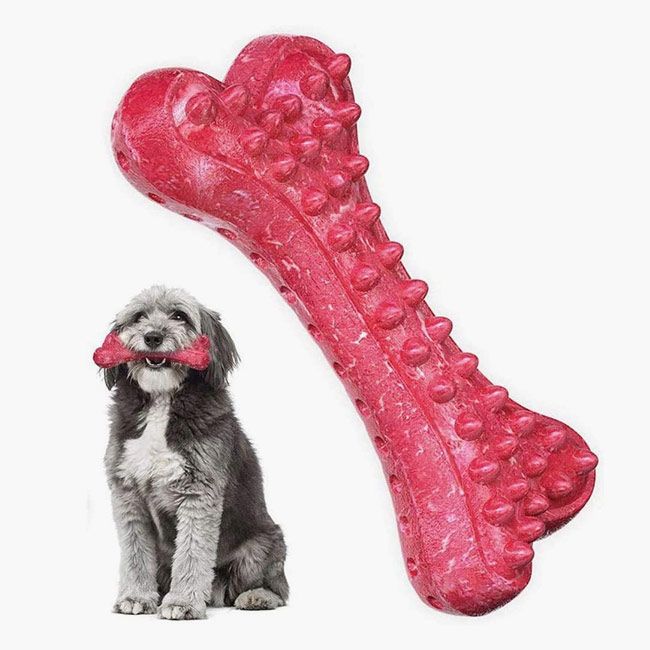 chemy dog toy